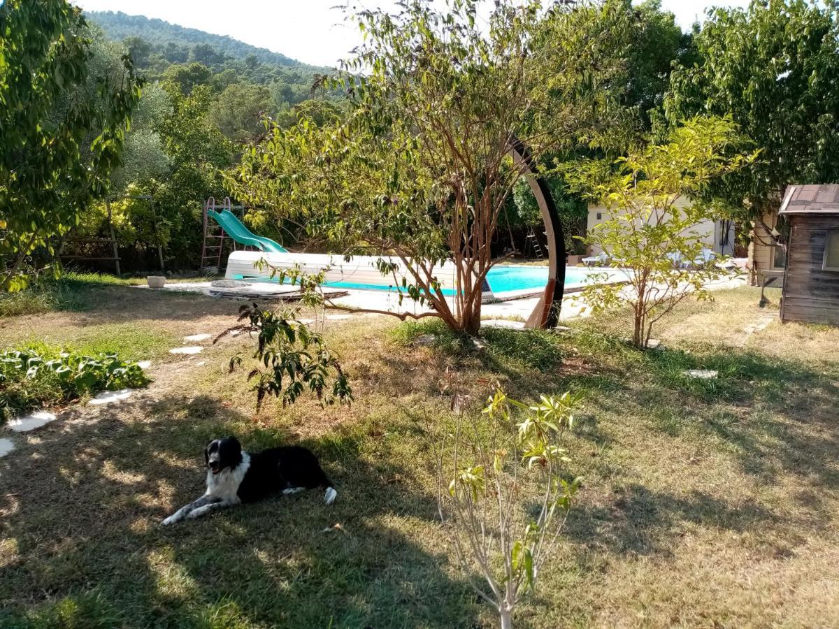 Eco-responsable Avec Piscine 6x12m