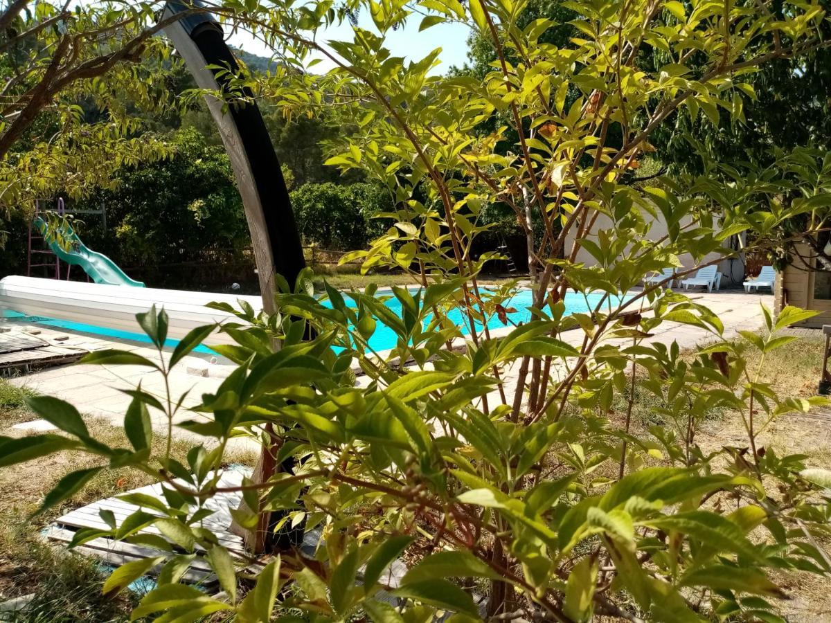 Eco-responsable Avec Piscine 6x12m Accommodatie bij particulieren *